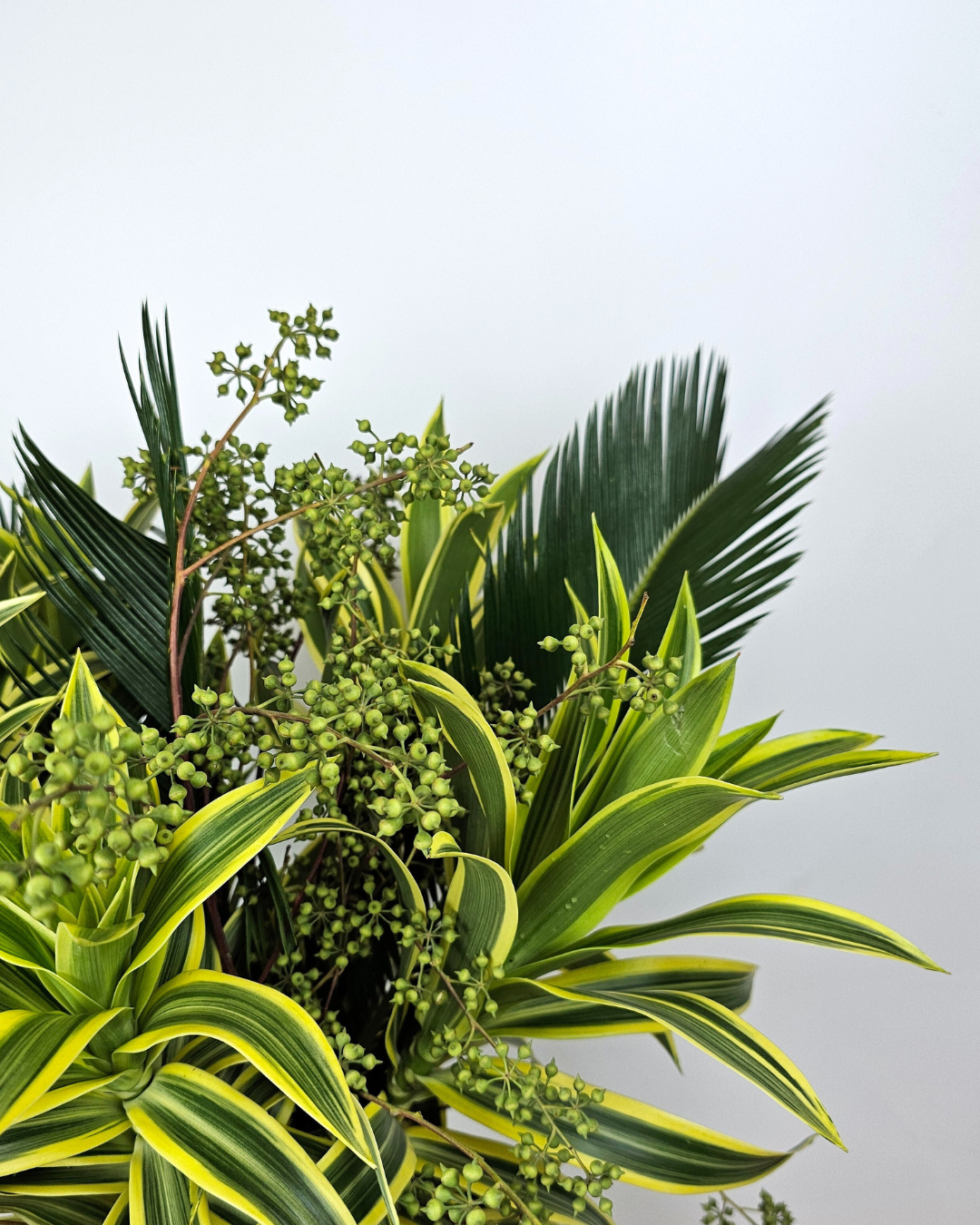 Colour - Green
