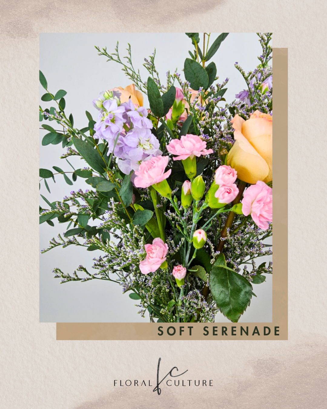 Soft Serenade