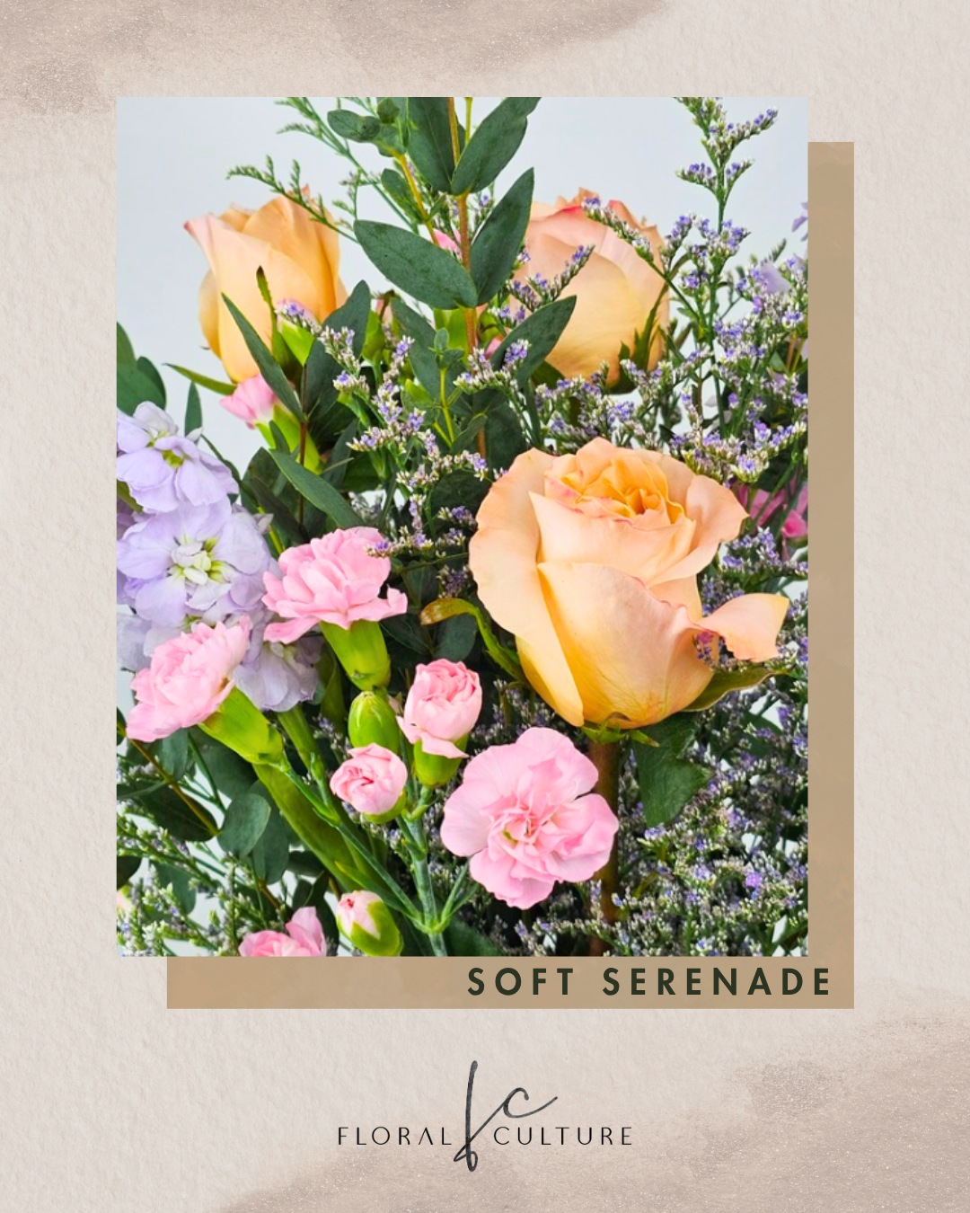 Soft Serenade