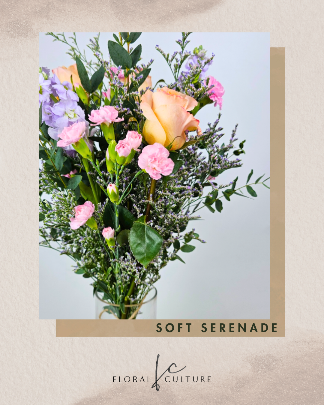 Soft Serenade