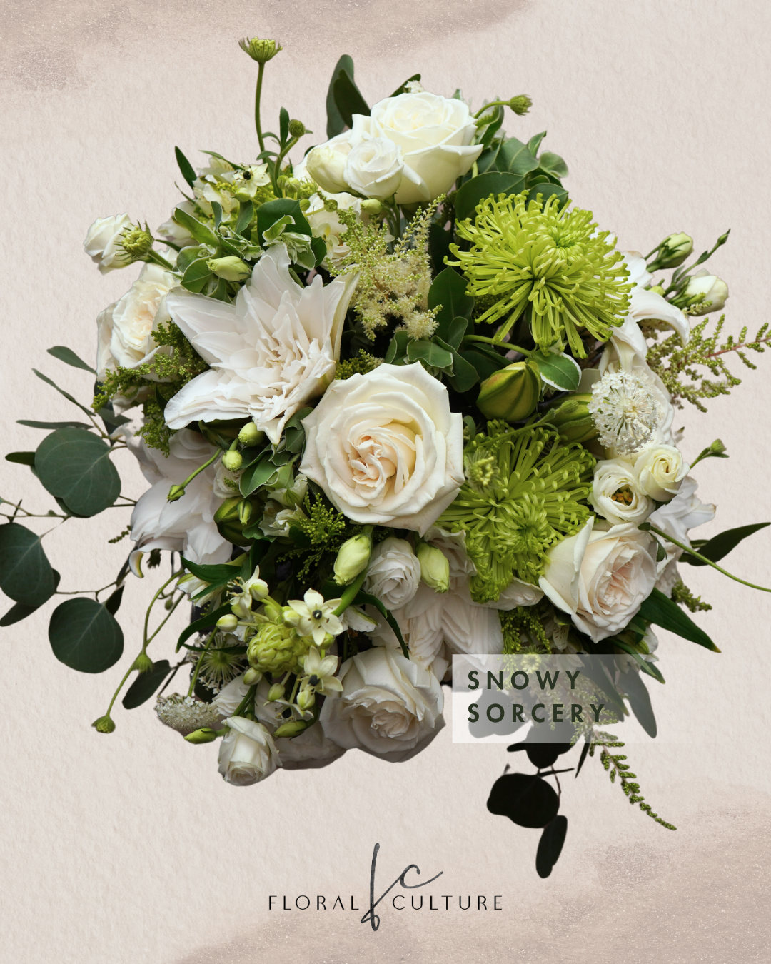 Snowy Sorcery