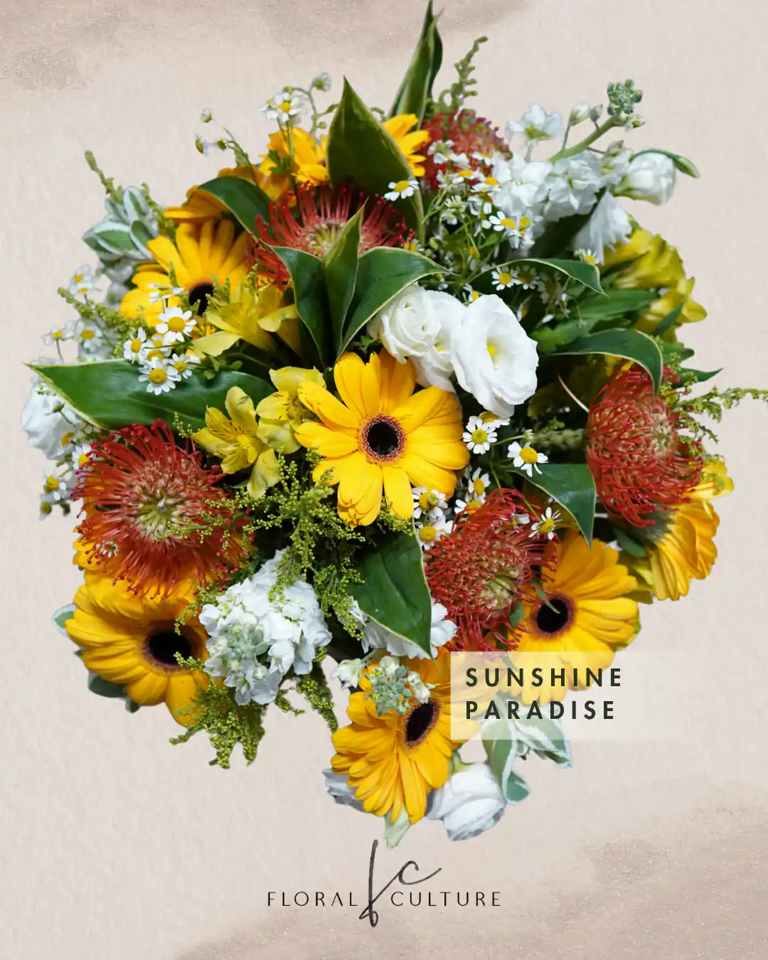Sunshine Paradise