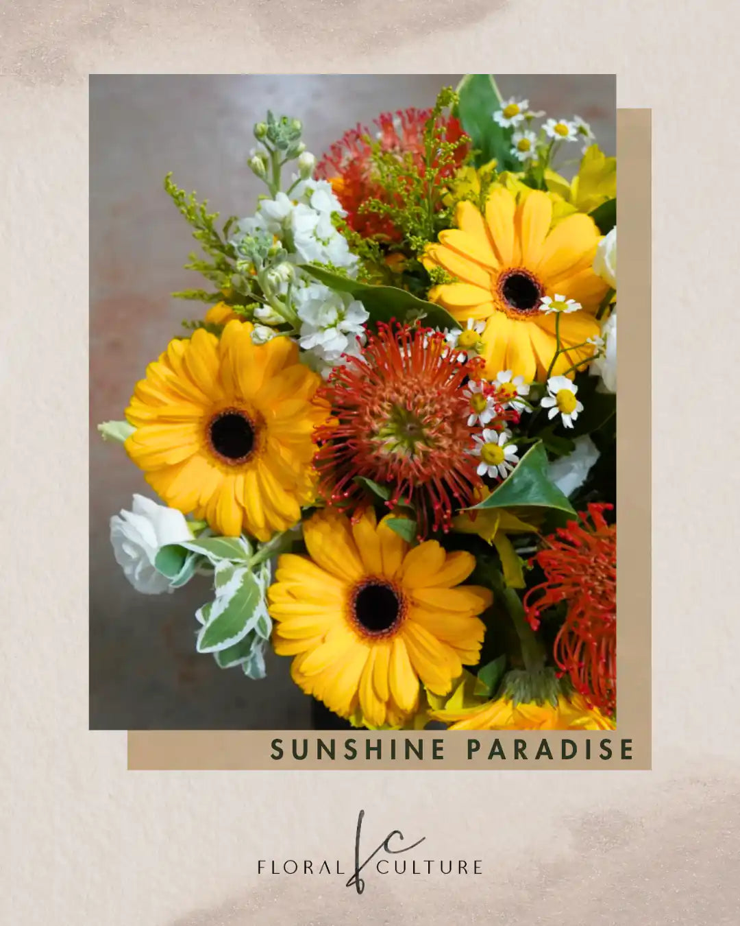 Sunshine Paradise