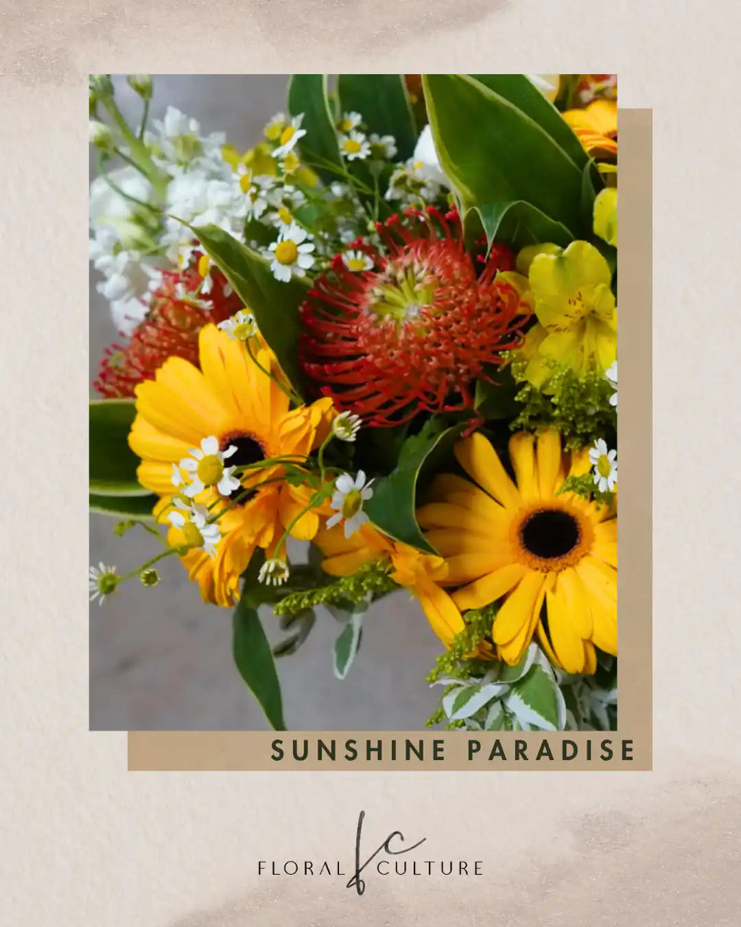 Sunshine Paradise
