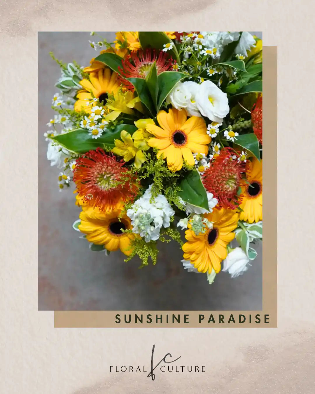 Sunshine Paradise