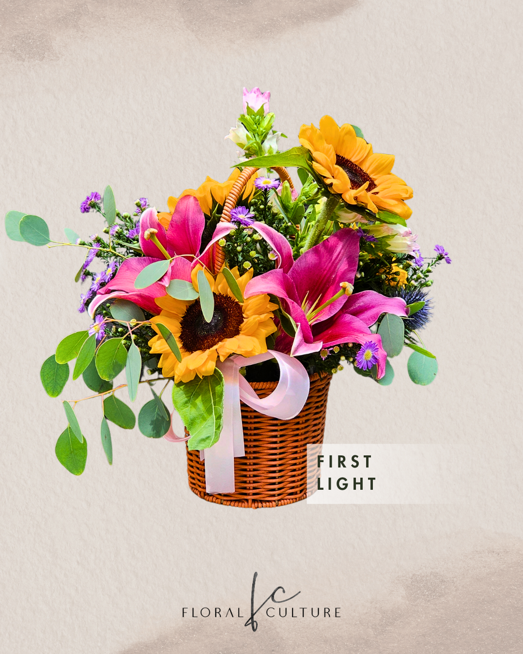 First Light