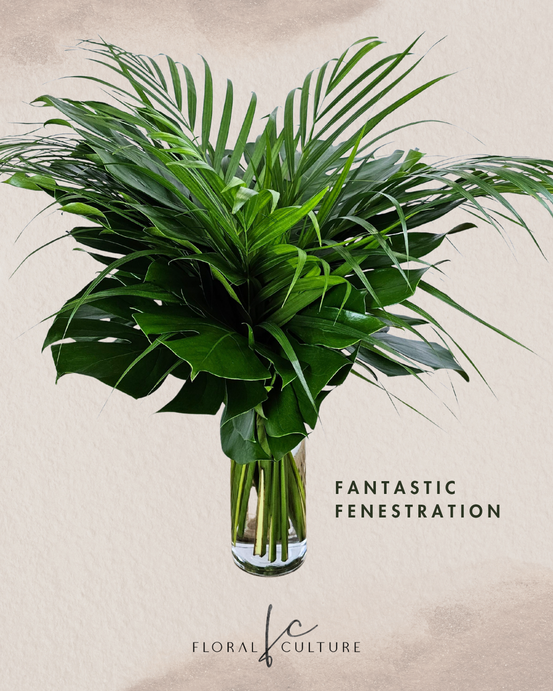 Fantastic Fenestration