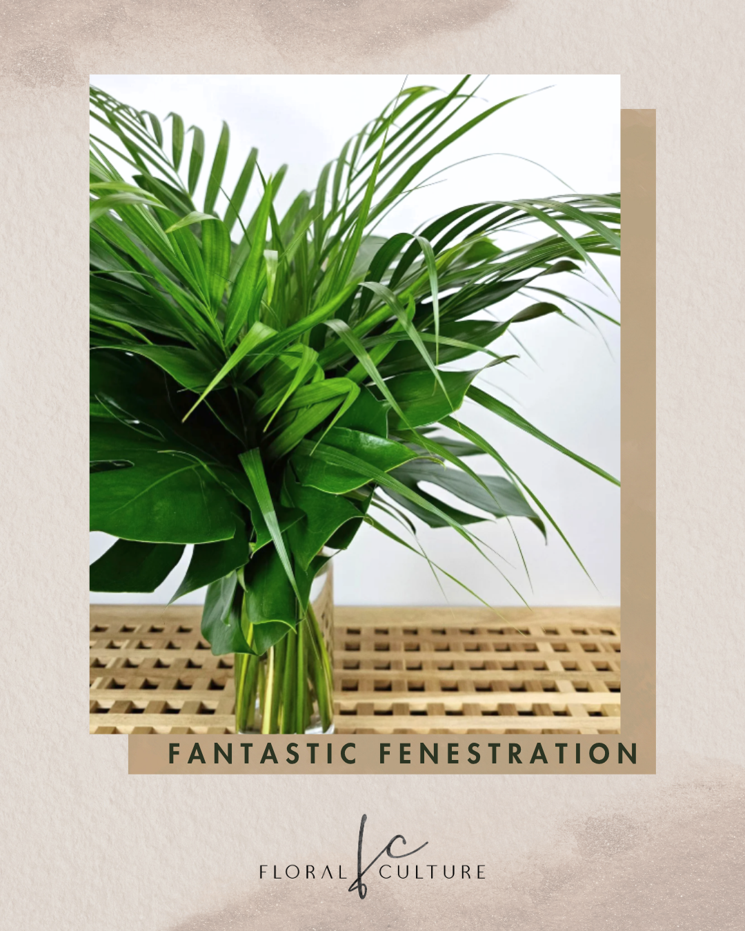 Fantastic Fenestration