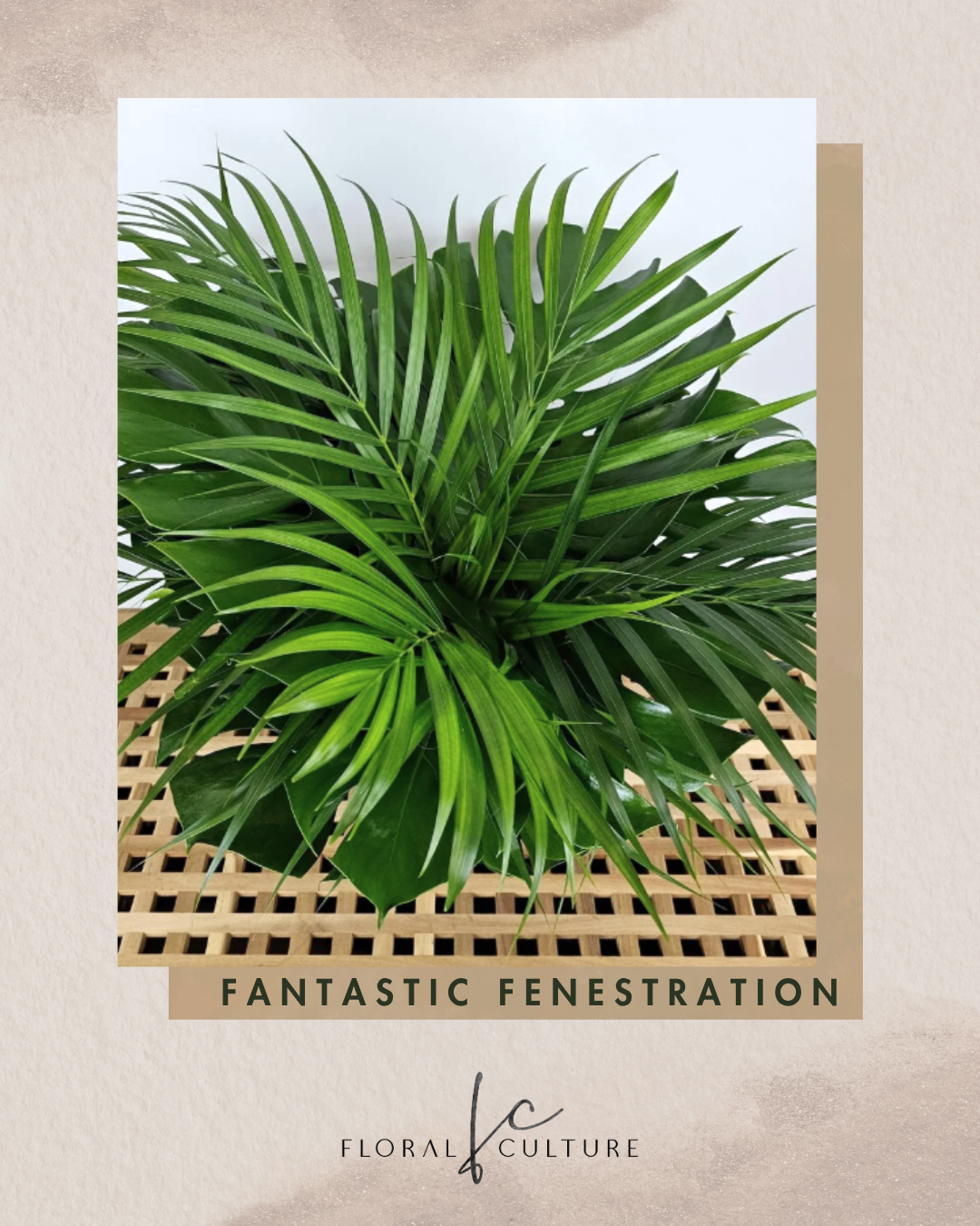 Fantastic Fenestration