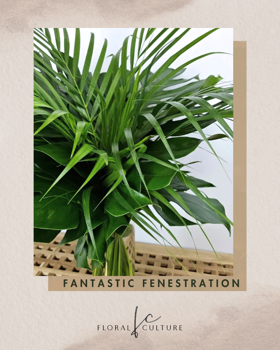 Fantastic Fenestration