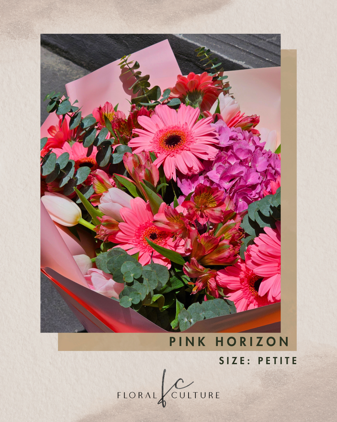 Pink Horizon