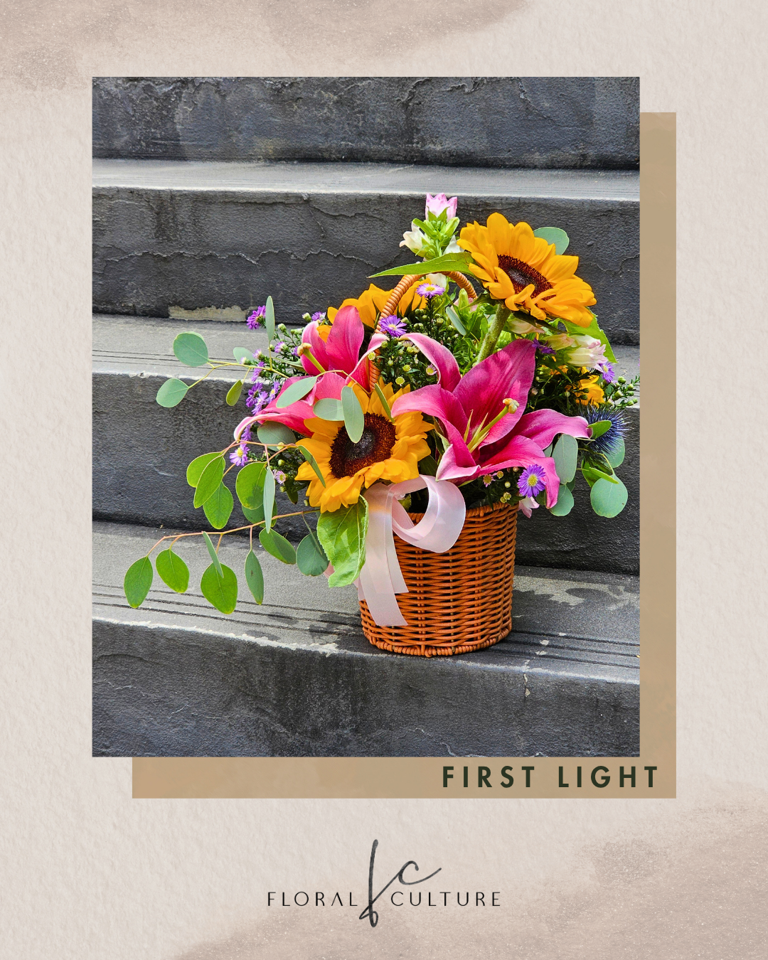 First Light
