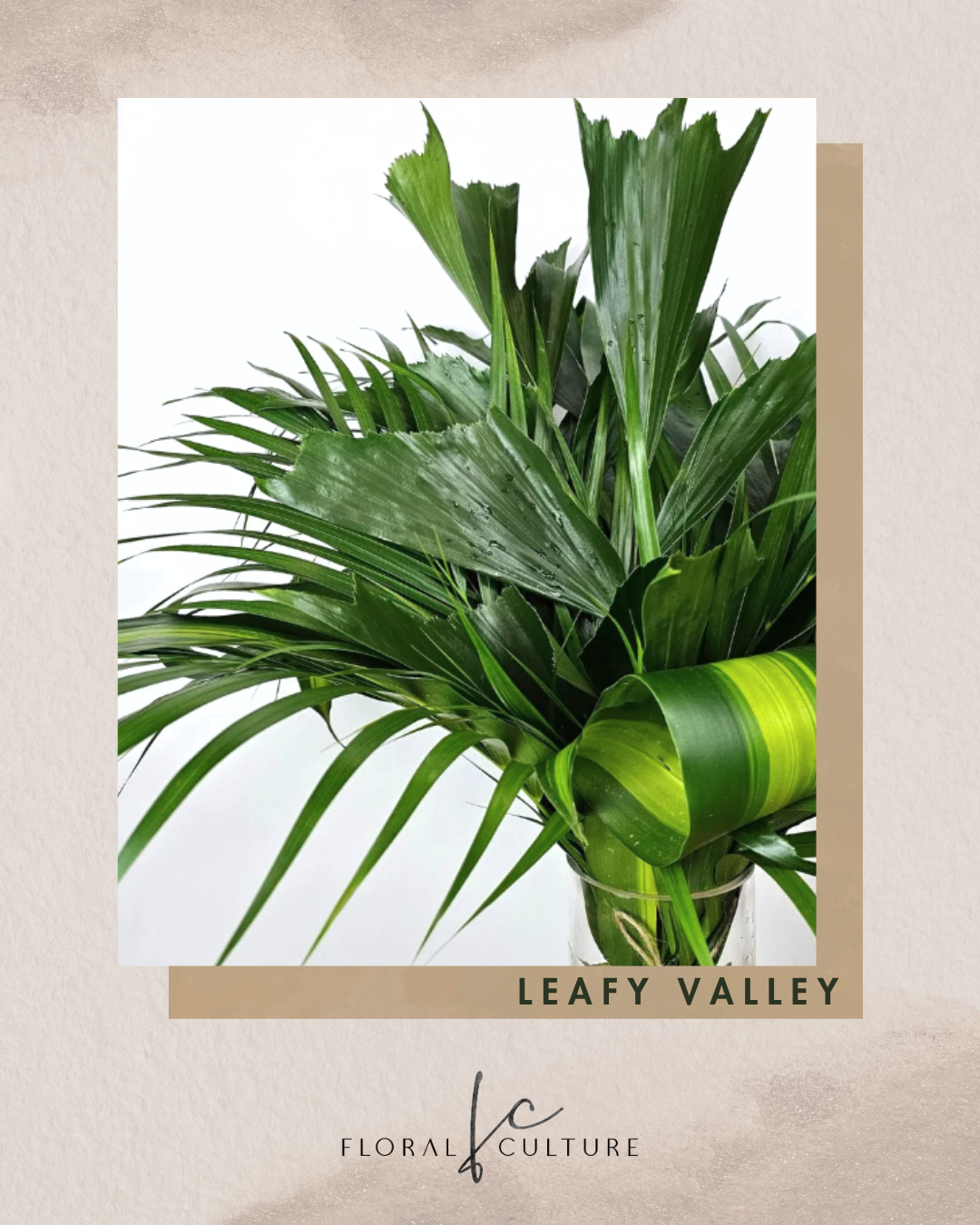 Leafy Valley