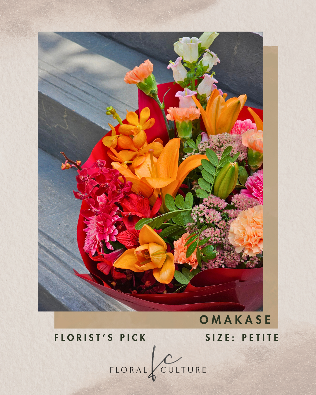 Omakase - Premium