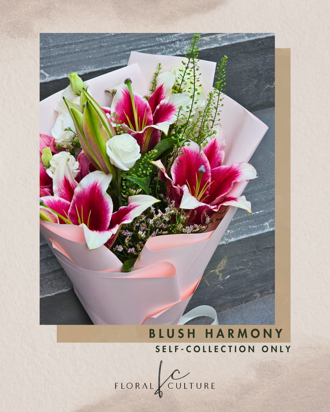 Blush Harmony [Self-Collection Only]