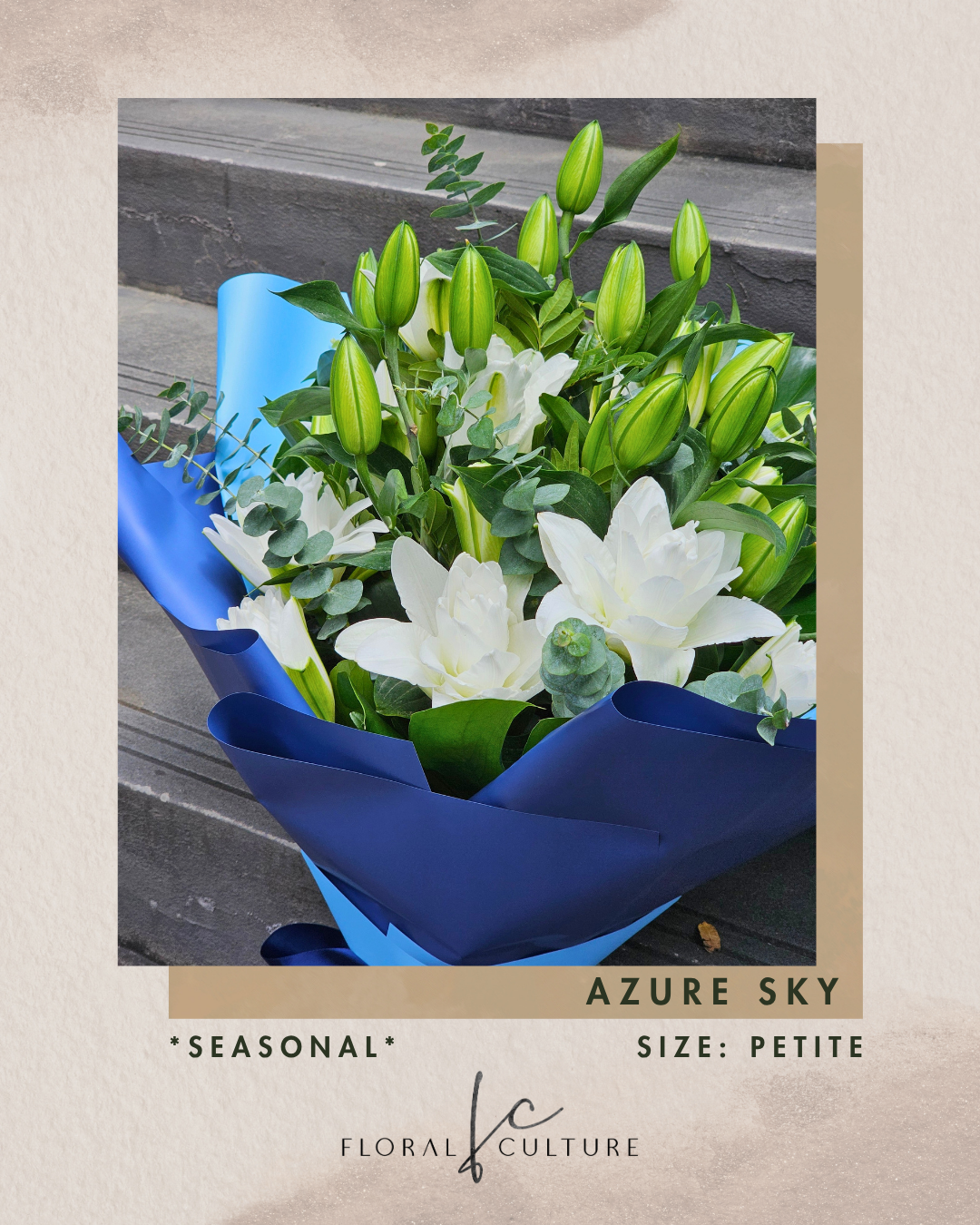 Azure Sky *Seasonal