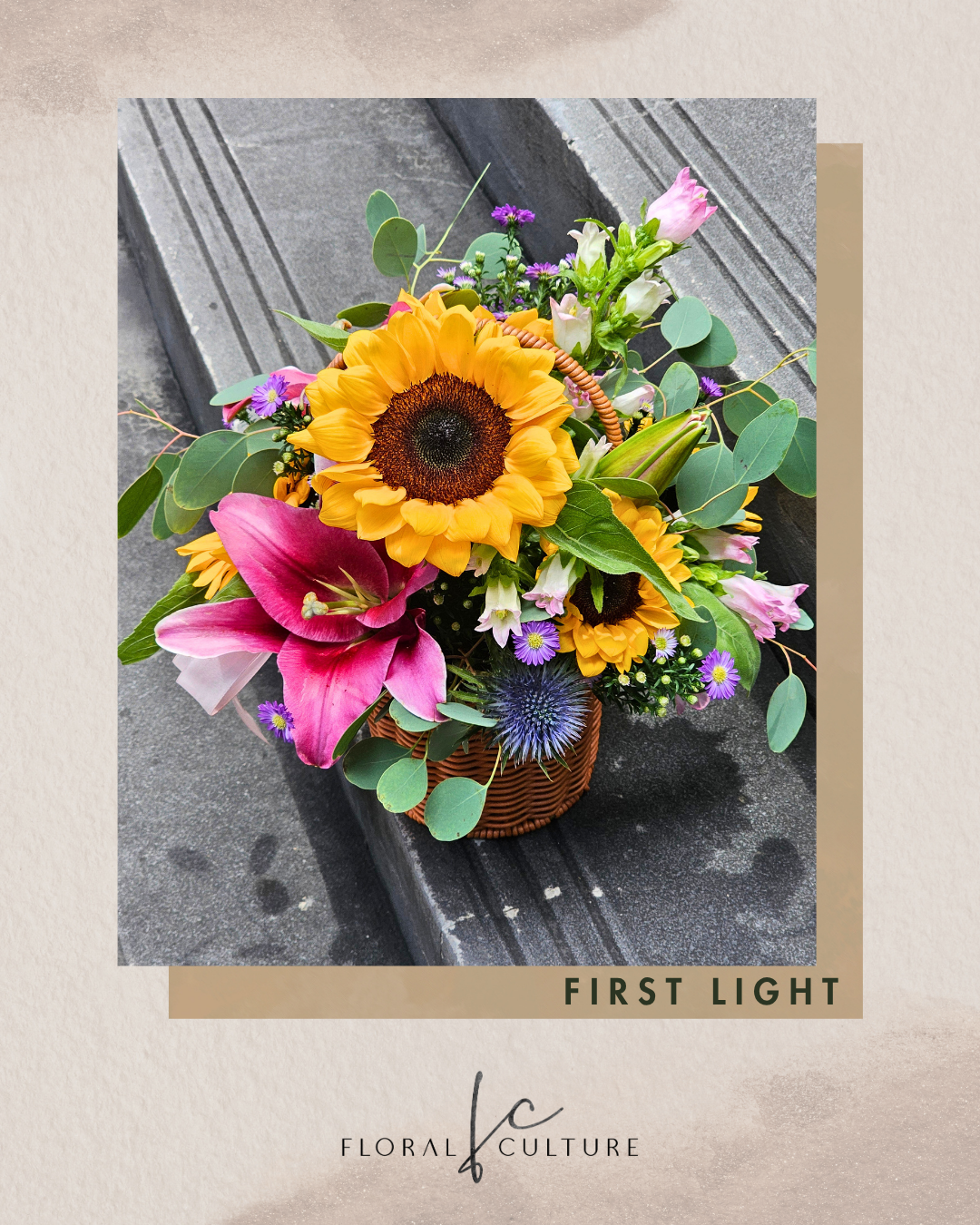 First Light