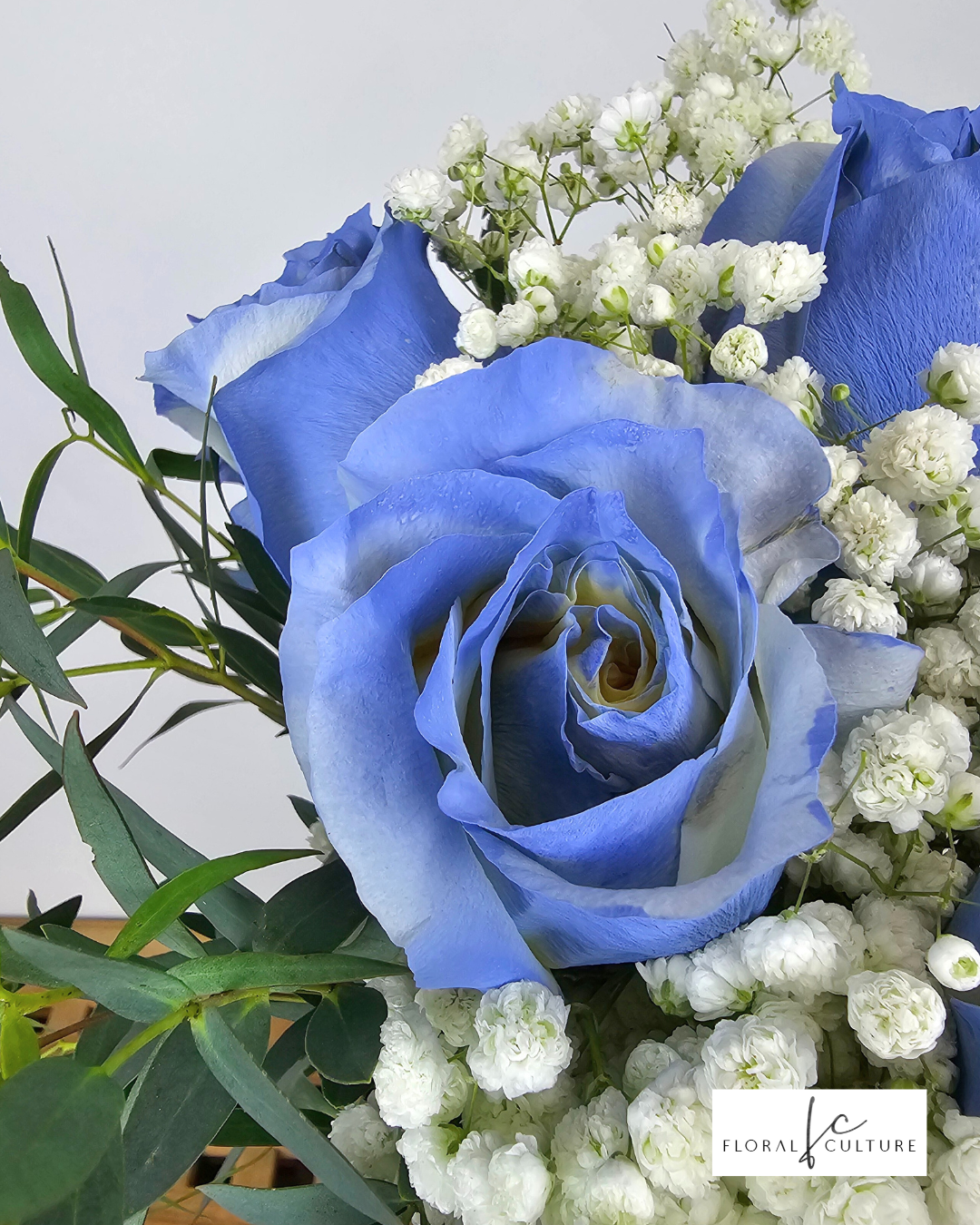 Blue Paradise