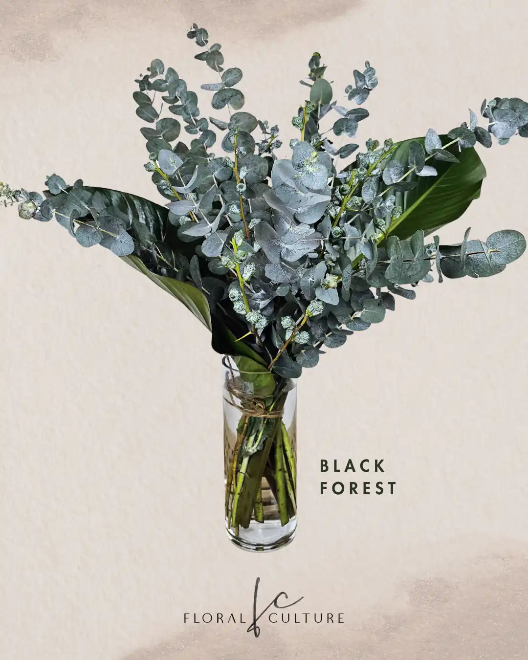 Black Forest