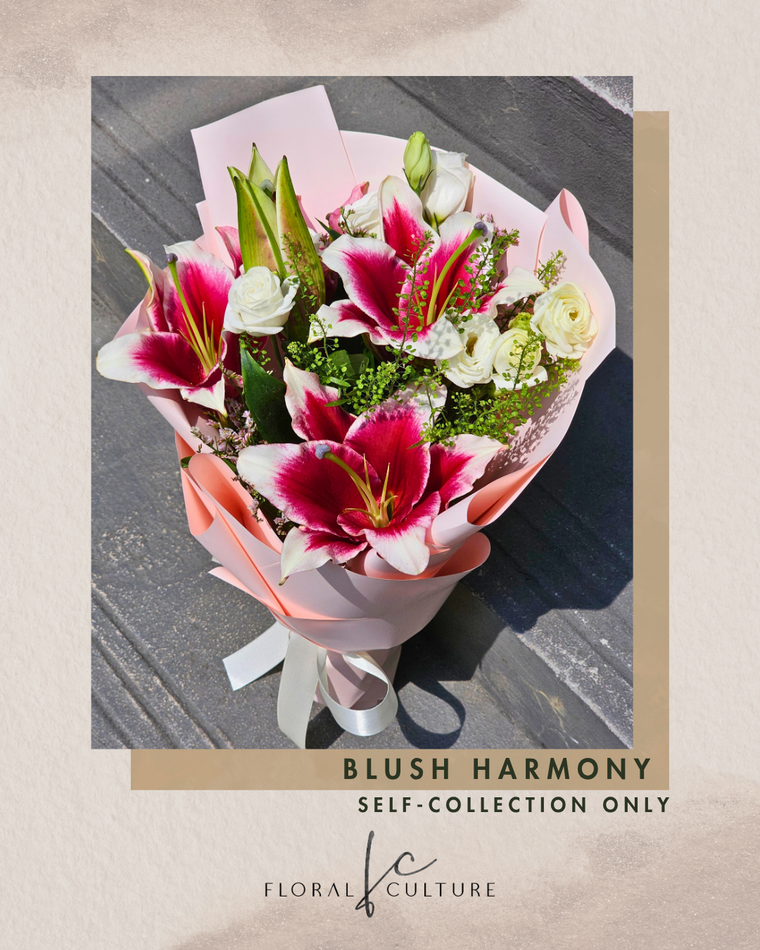 Blush Harmony [Self-Collection Only]