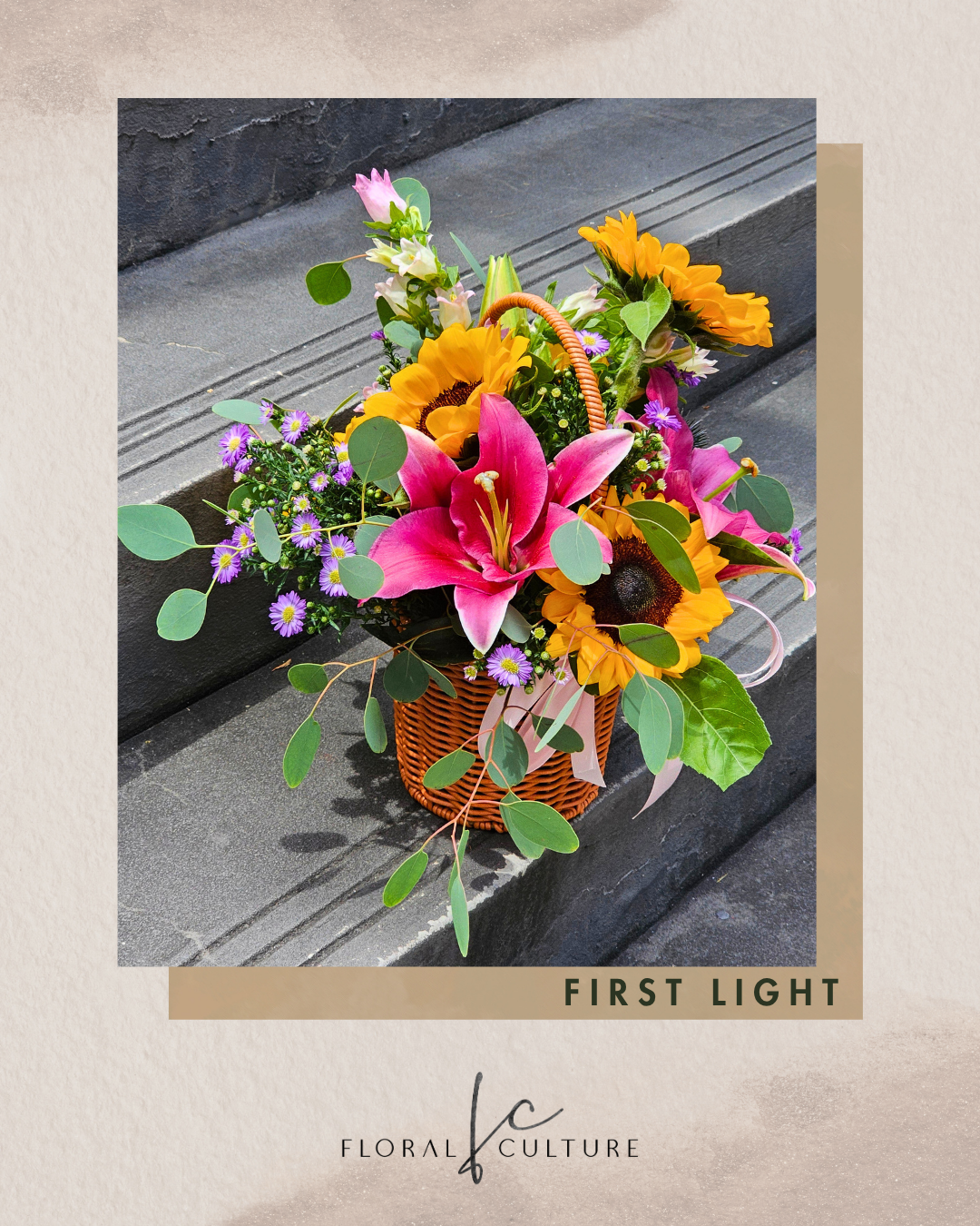 First Light