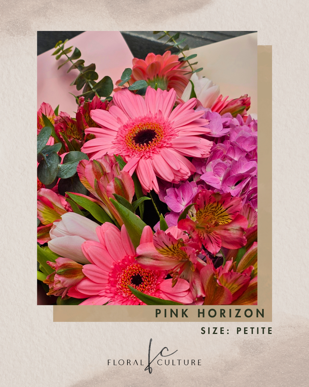 Pink Horizon