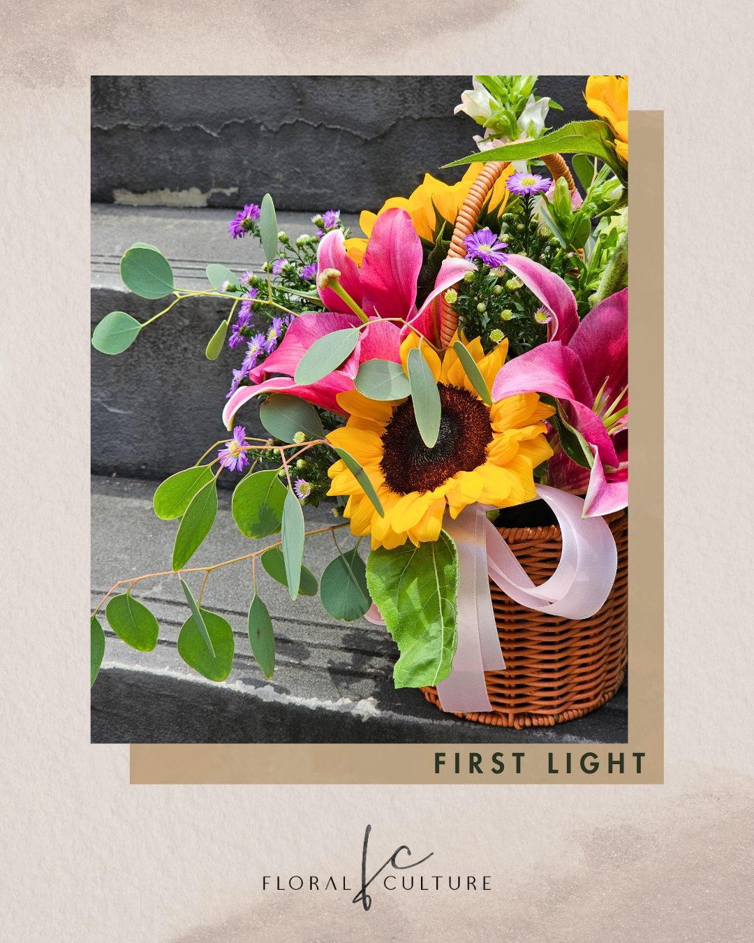 First Light