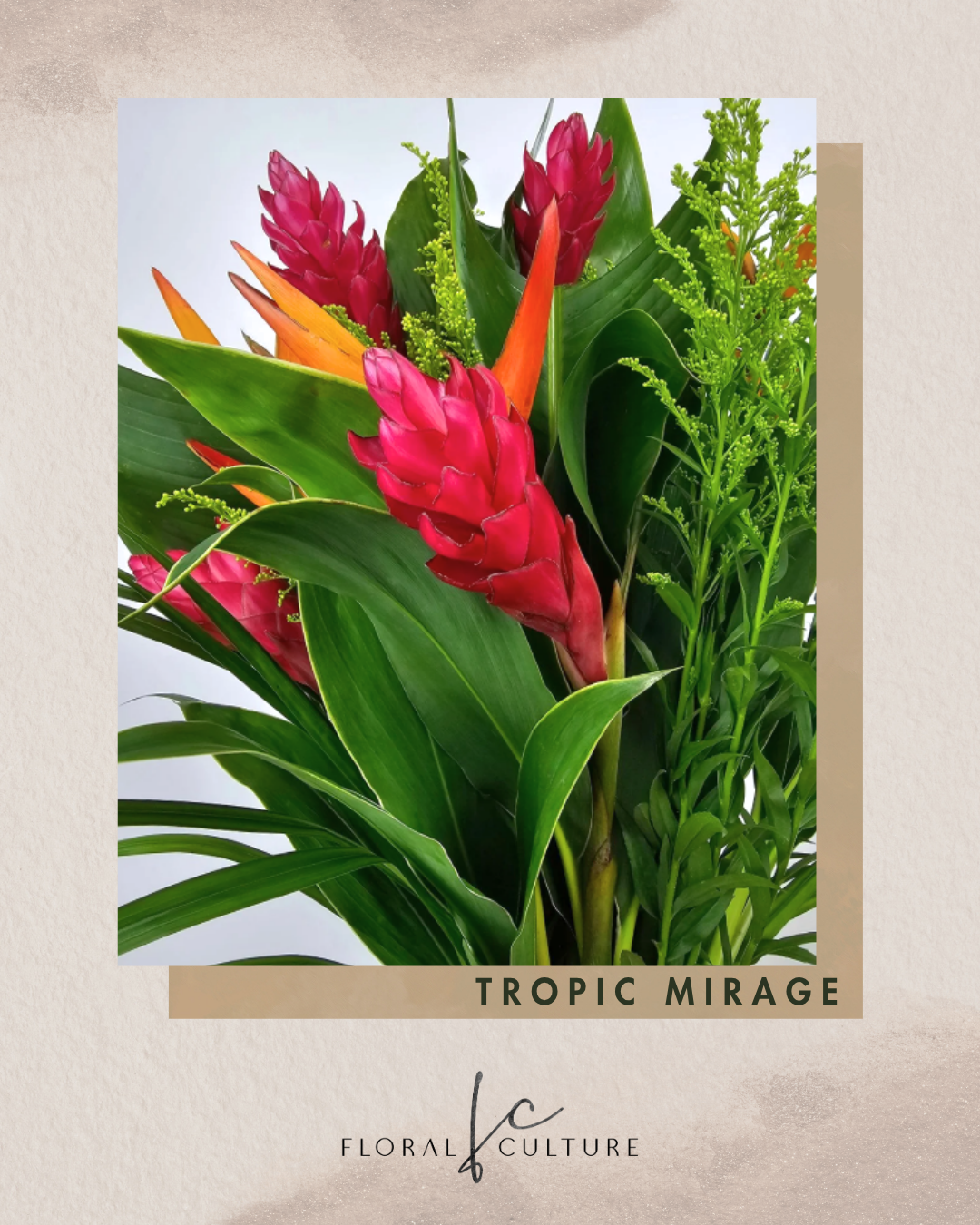 Tropic Mirage