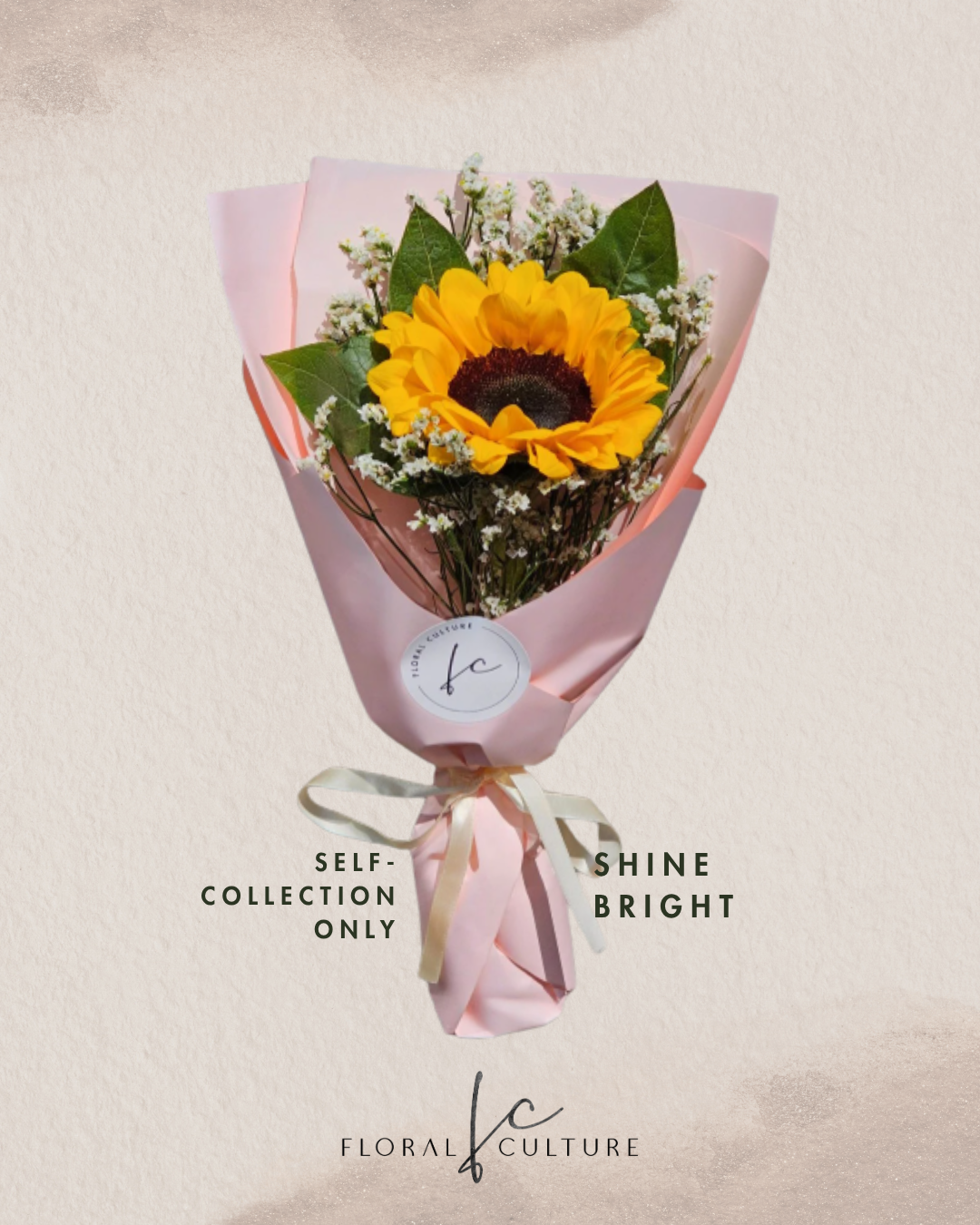 Shine Bright [Self-Collection Only]