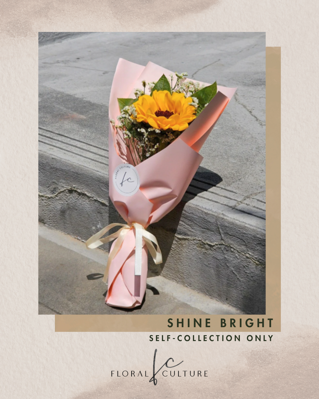 Shine Bright [Self-Collection Only]
