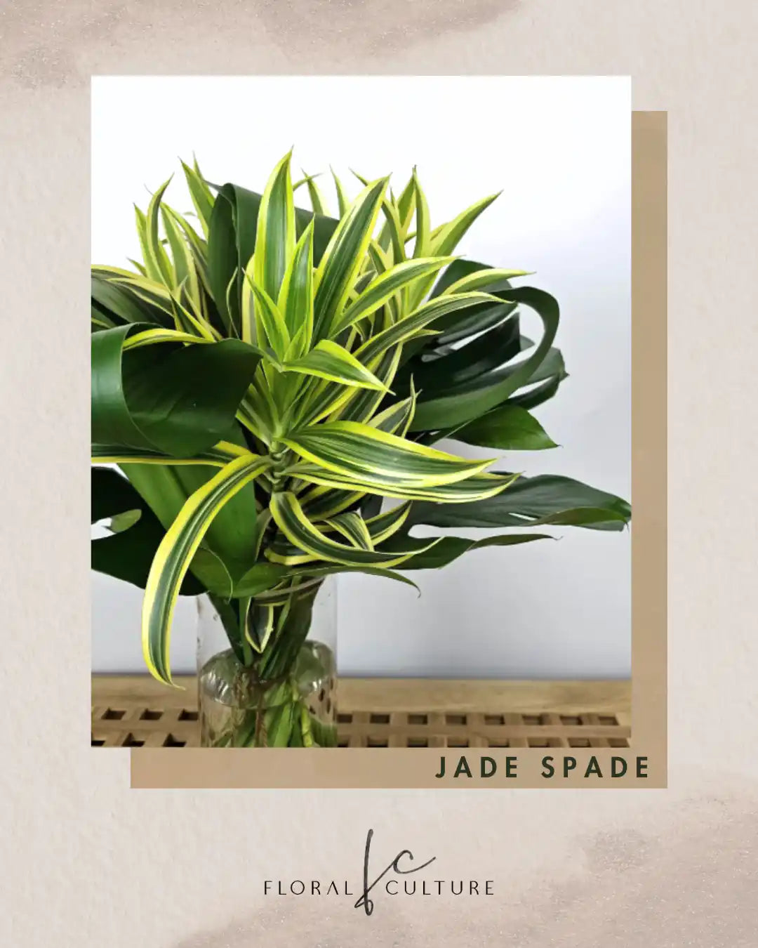 Jade Spade
