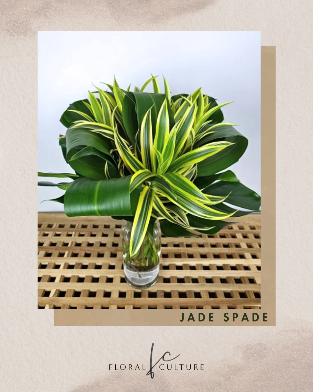 Jade Spade