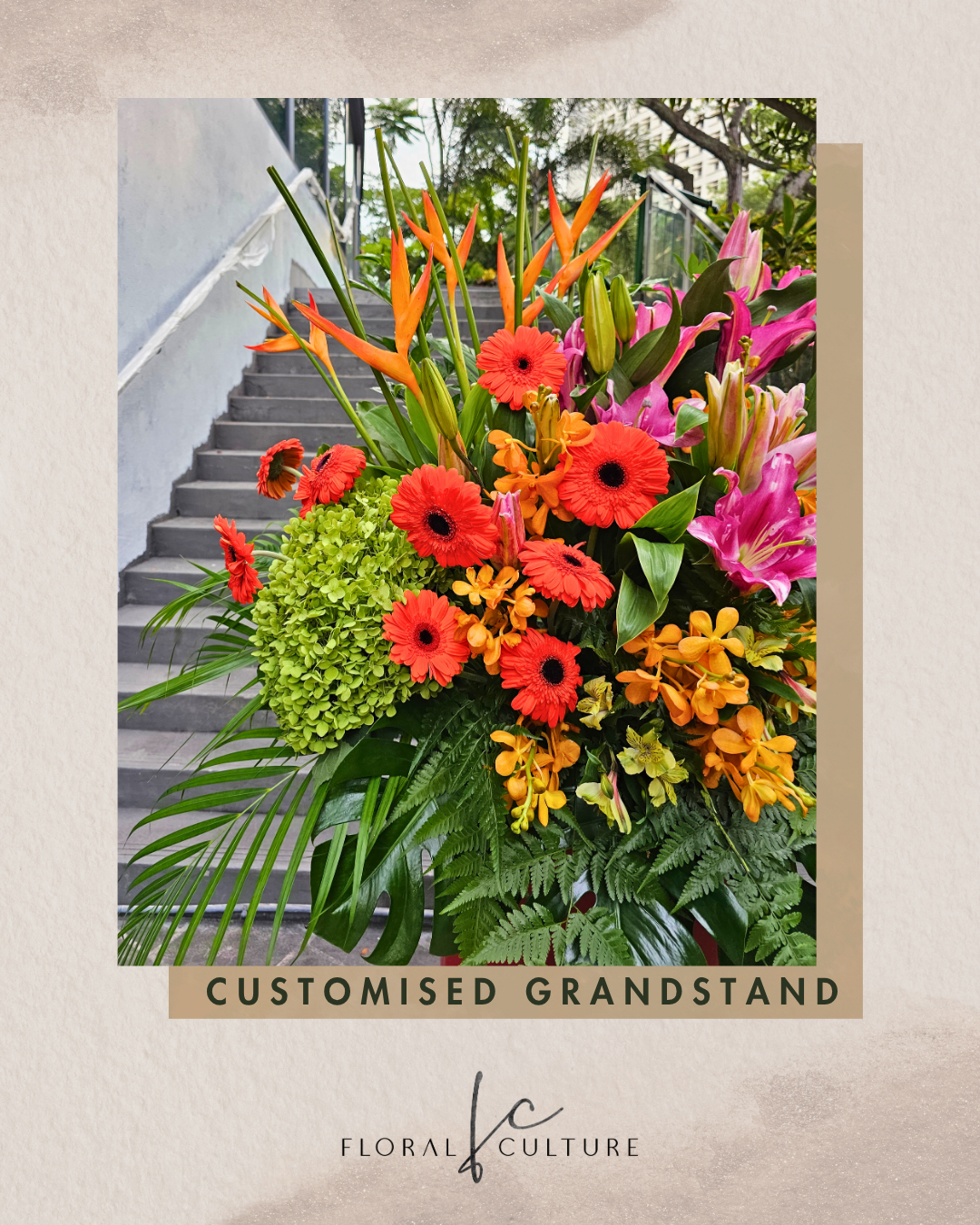 Customised Grand Stands
