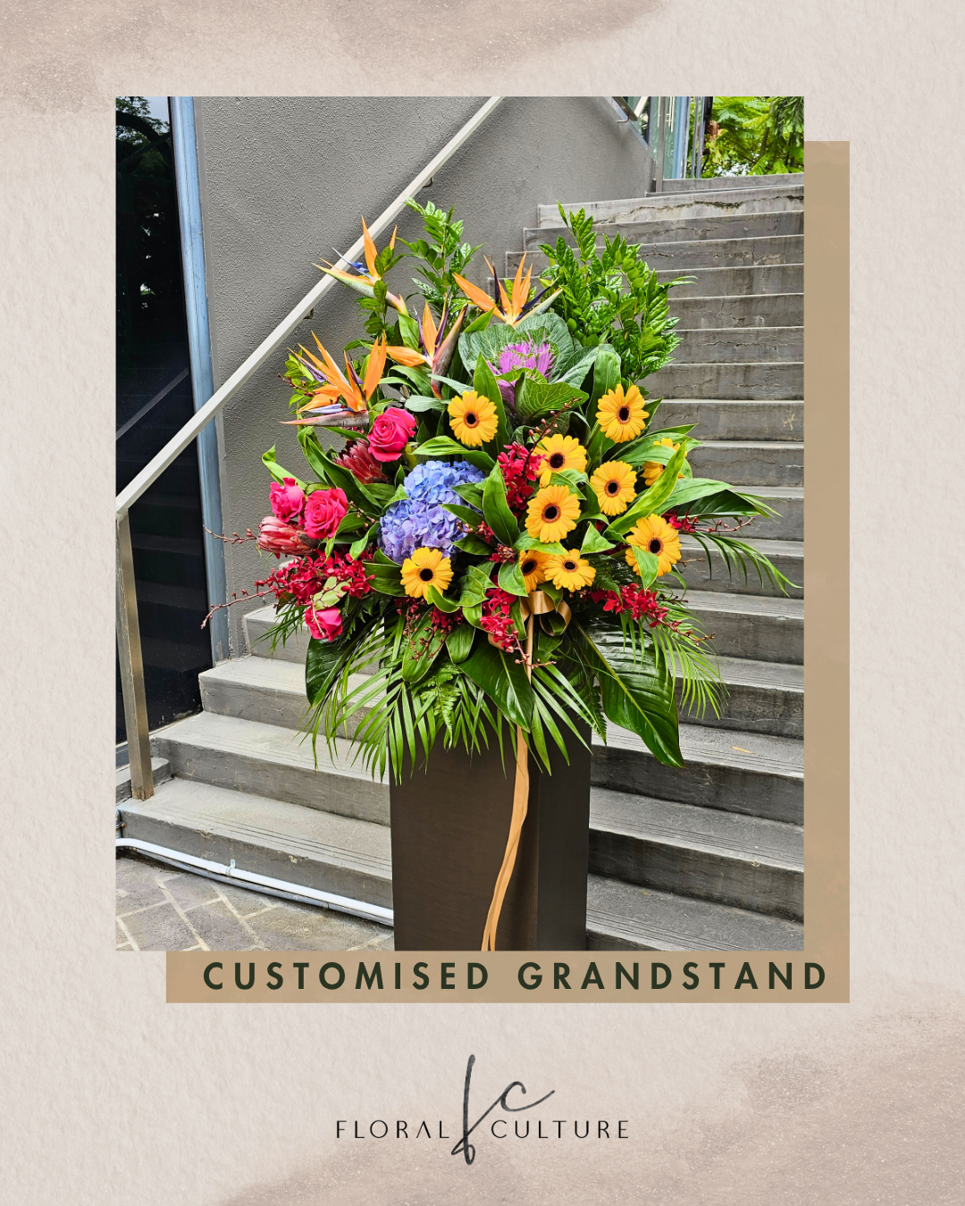 Customised Grand Stands